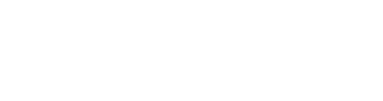 msn-logo
